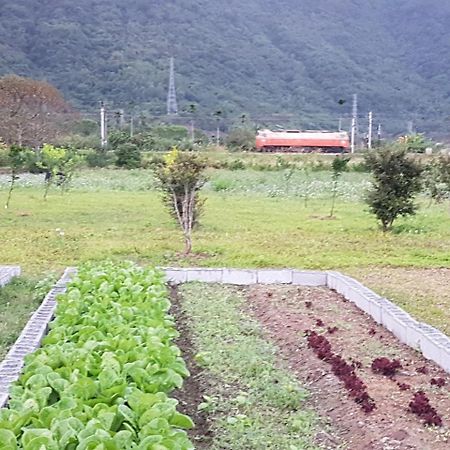 Taroko Formosa Homestay Xiulin Buitenkant foto