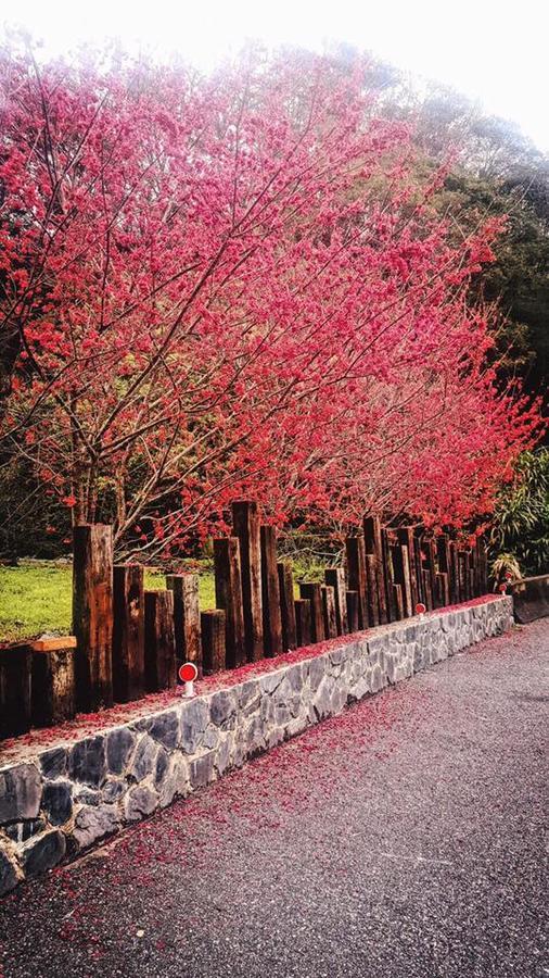 Taroko Formosa Homestay Xiulin Buitenkant foto