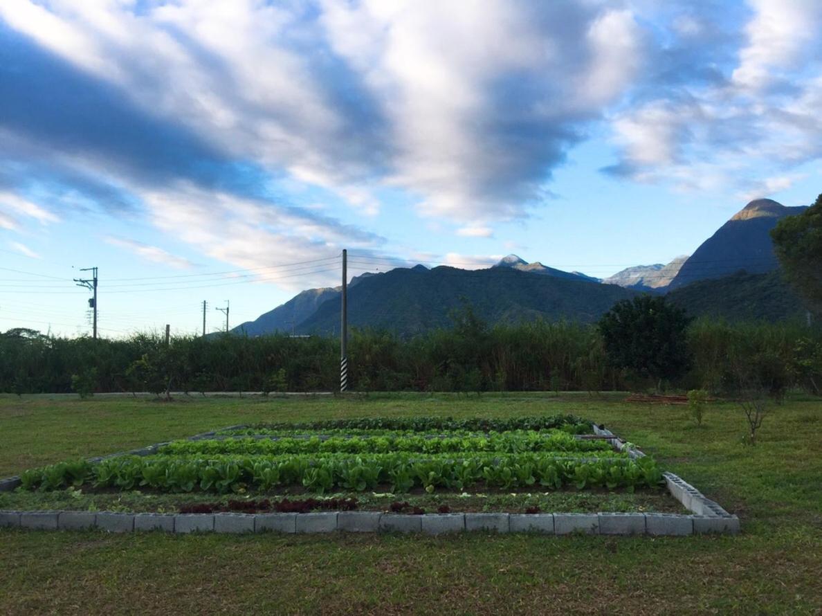 Taroko Formosa Homestay Xiulin Buitenkant foto
