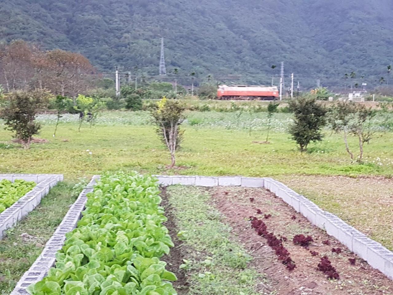 Taroko Formosa Homestay Xiulin Buitenkant foto